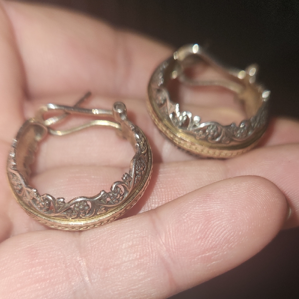 Elegant Gold and Silver Hoop Earrings